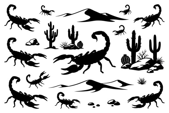Desert scorpions and cacti silhouettes in arid landscape scene.