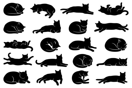 Silhouette collection of cats in various sleeping and relaxing poses.