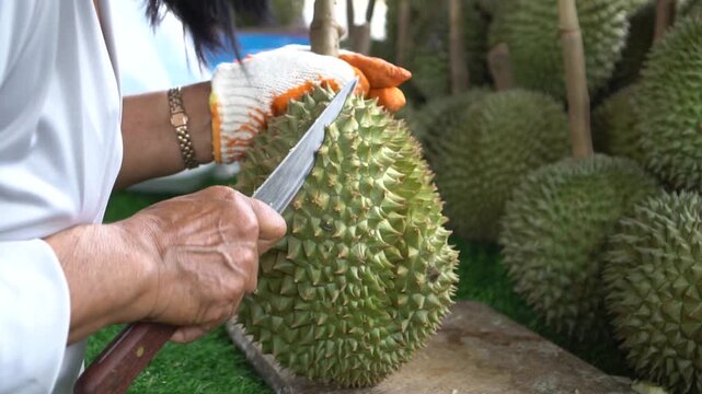 fresh durian fruit knife cutting prepare customer in Thailand