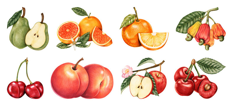PNG Vibrant watercolor fruits illustration on transparent background