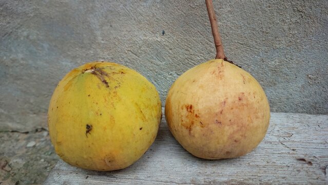 Two santol fruits placed on concrete background, tropical fruit from Thailand with natural texture and rustic style