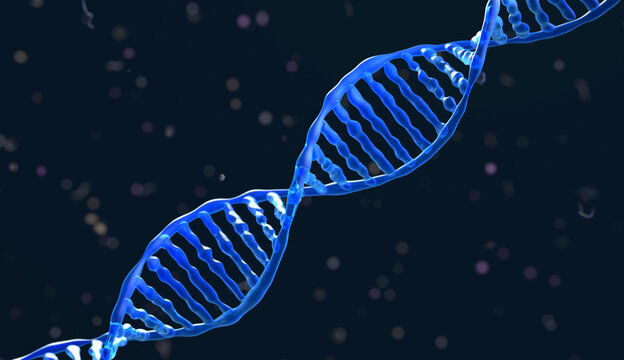 DNA-molecule