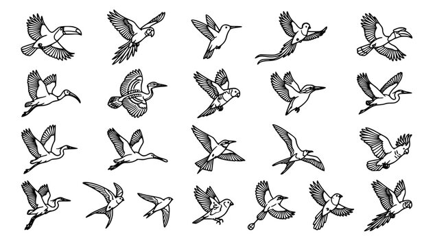 A clean minimalist black line art vector illustration set featuring various tropical and exotic birds in flying poses on pure white background. The collection includes toucan, macaw parrot, hummingbir