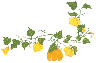 Pumpkin corner border hand drawn illustration, autumn thanksgiving frame with leaves vine botanical bloom, cozy harvest foliage decoration. © Khaneeros