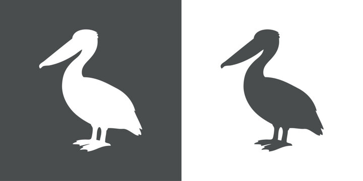 Logotipo con dibujo minimalista de la silueta de un pel&iacute;cano, visto de perfil