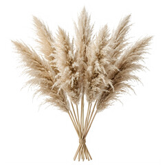 Fototapeta premium Dried wheat stalks bundle decoration isolated on transparent background