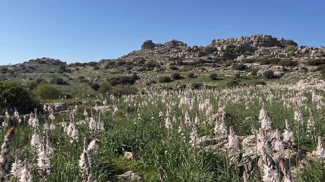 Paisaje primaveral en El Torcal de Antequera, Andaluc&iacute;a