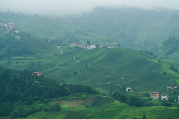 Fototapeta premium Traditional houses and tea terraces on the Black Sea coast, Rize city, Türkiye