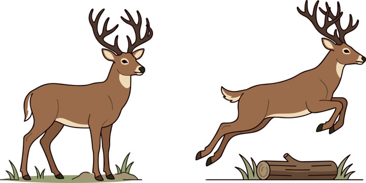 Whitetail deer buck cartoon illustration set showing standing animal with large antlers and jumping over log in forest nature background vector