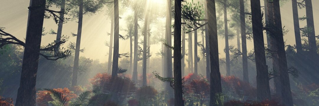 Forest in the morning in a fog in the sun, trees in a haze of light, glowing fog among the trees, 3D rendering