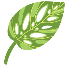 Detailed Split-Leaf Philodendron Illustration for Bohemian Wall Art © Fatia
