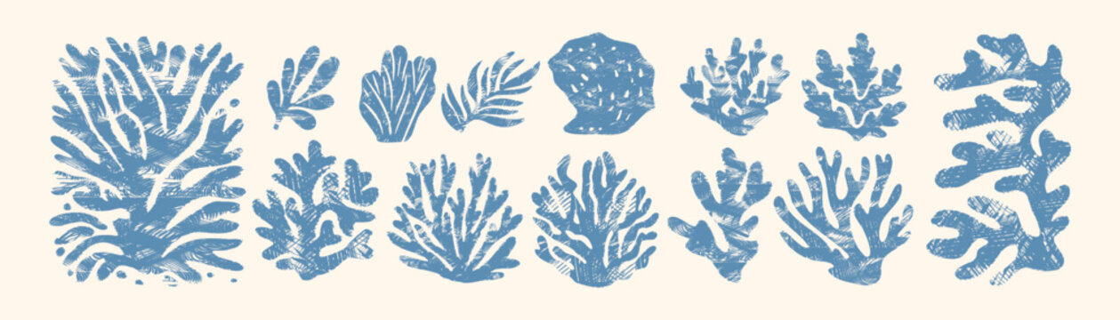 Set of blue linocut coral and seaweed silhouettes, rustic woodcut style, simple abstract marine shapes, isolated vector illustration for coastal nautical design