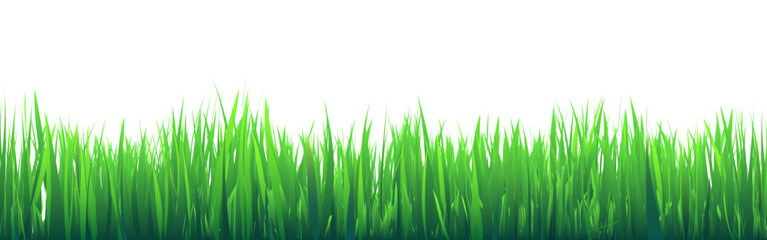Fototapeta premium Meadow silhouette with green grass, plants on plain. Panoramic summer lawn landscape with herbs, various weeds. Herbal border, frame element. Black horizontal banners. Vector illustration