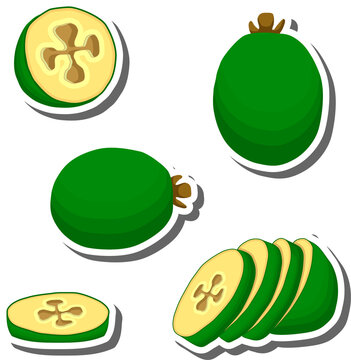 Fruit theme from set juicy delicious feijoa of various sizes