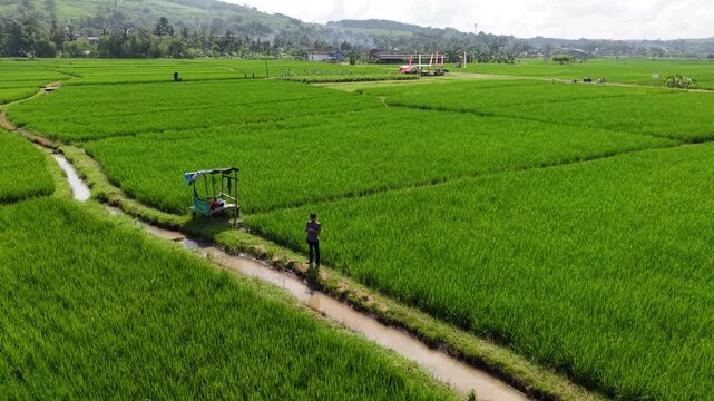 The drone pilot flew a circular drone showing the expanse of rice fields and hills around Lake Rawa Pening.