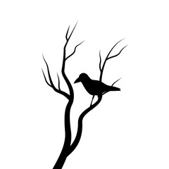 Fototapeta premium Raven Silhouette Branch