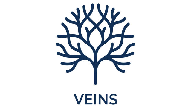 Veins branch out in this biological illustration showing the human circulatory system structure.