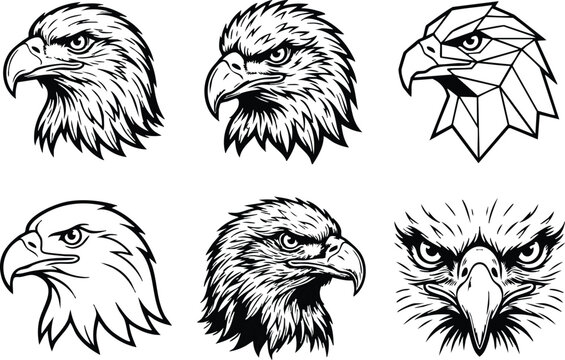 Eagle head vector Design