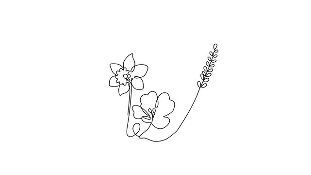 One Line Illustration &ndash; Minimal Floral Flowers