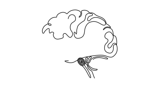 One Line Illustration &ndash; Human Brain Concept