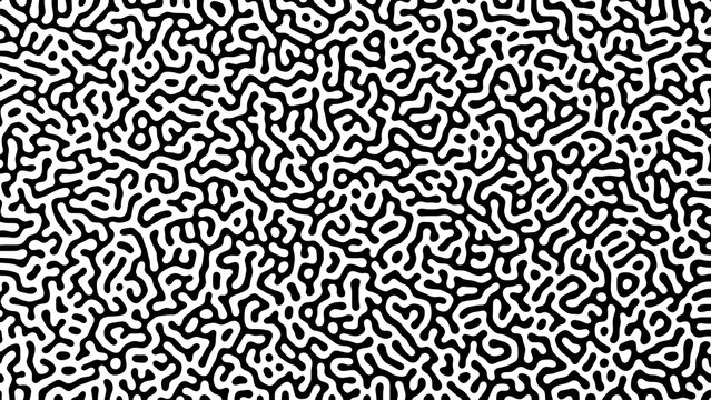 Abstract Black and White Turing Pattern Background
