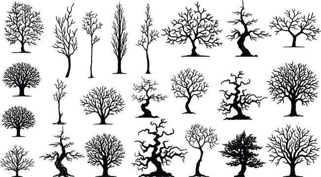 Black tree silhouettes collection, set of 21 leafless winter tree vector icons, dead forest branches and spooky oak shapes for landscape design