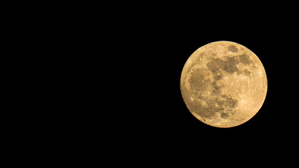 Obraz premium A large yellow moon is in the dark night sky.