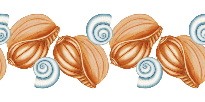 Watercolor seamless border featuring hand drawn conch seashells. Nautical repeating pattern with sea shells. Children's, nautical, travel themes. Suitable for design, prints, postcards, sea travel
