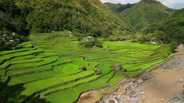 Aerial parallax above lush vibrant green Ducligan Rice Terraces in Banaue reveals stepped paddies at peak growth alongside rocky river, mountain valley and traditional Ifugao village