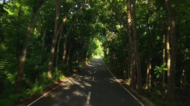 Low aerial forward flight along empty man-made forest road on Siquijor Island with mahogany trees forming canopy tunnel and dramatic dappled light patterns on pavement, Philippines