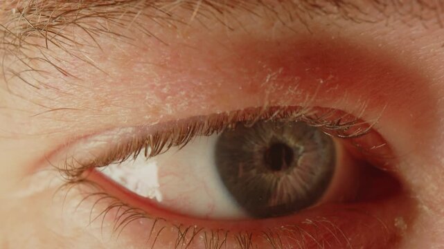 Beautiful macro of a blue eye looking around while the pupil dilates