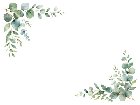 A charming watercolor corner border frame with green eucalyptus leaves and branches featuring soft rounded foliage, delicate stems, and elegant botanical greenery illustrated in a natural hand-painted