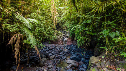 Aerial View of Scenic Pristine Rocky River in Forest Landscape © katakaneh