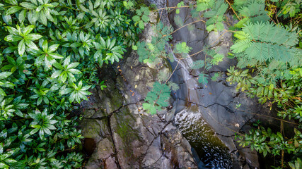 Aerial View of Scenic Pristine Rocky River in Forest, top-down view © katakaneh