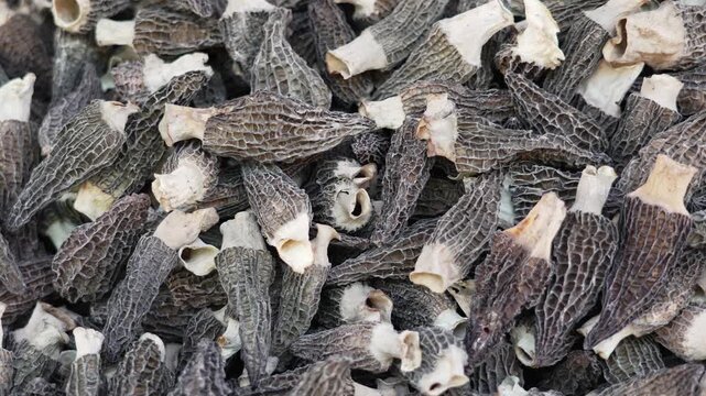 Dried morel mushrooms creating an interesting textured background	