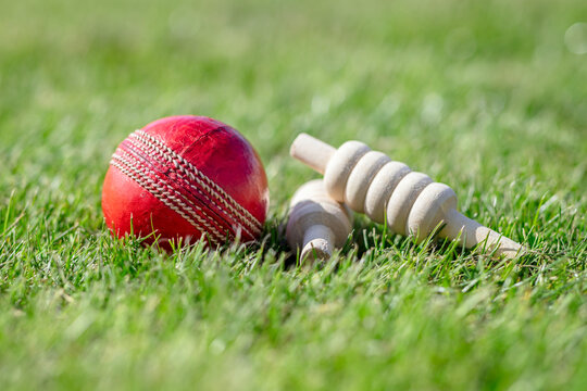 Cricket ball and bails on green grass of cricket pitch background