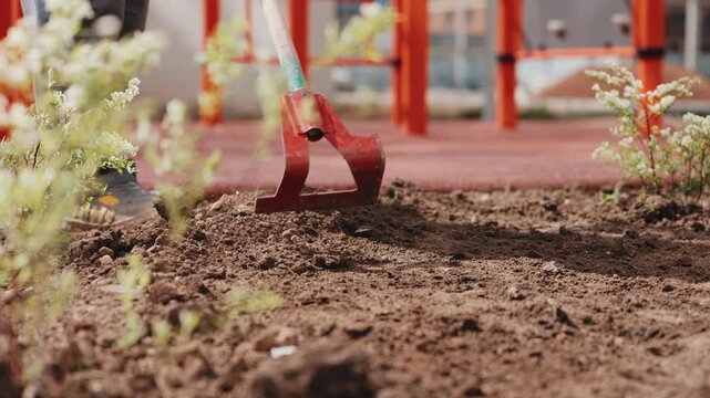 Loosening soil with garden hoe during landscaping work close up