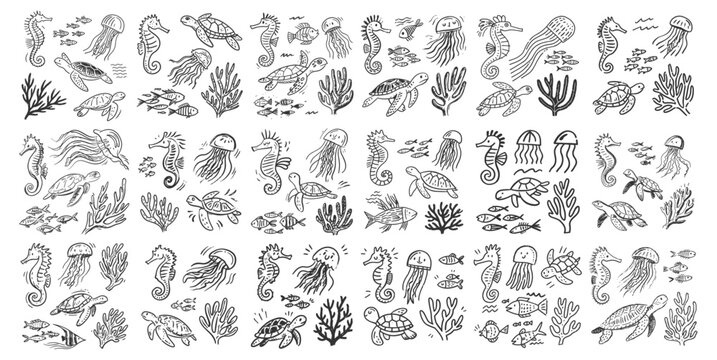 Hand Drawn Underwater Sea Life Doodles Featuring Turtles Jellyfish and Corals
