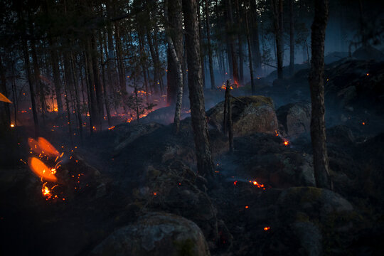 Illuminated fire sparks in forest at night