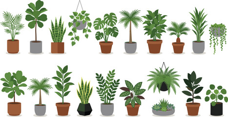 Obraz premium plants, houseplants, vector, illustration, set, collection, potted, interior, green, nature, botanical, isolated, decoration, foliage, home