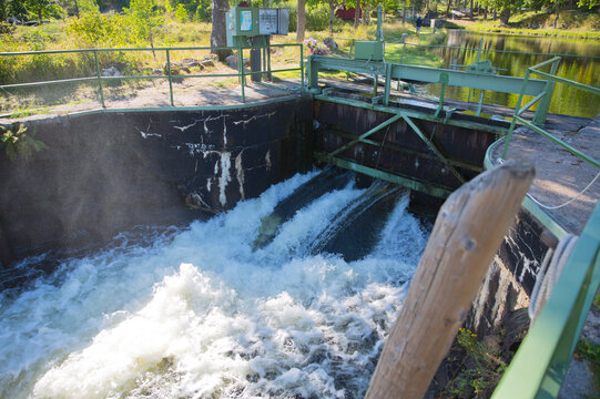 High angle view of water dam in forest