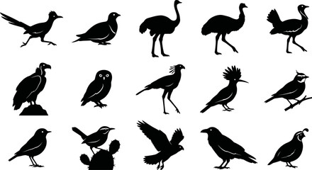 Obraz premium Collection of various bird silhouettes on white background for design elements