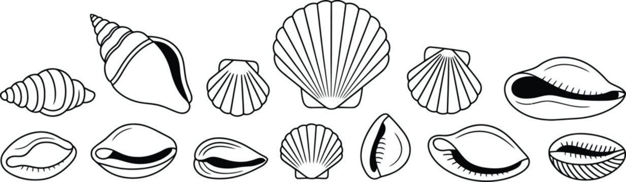 Minimalist seashell line art collection, set of 13 black and white sea shell vector icons, nautical beach mollusk illustrations for summer branding