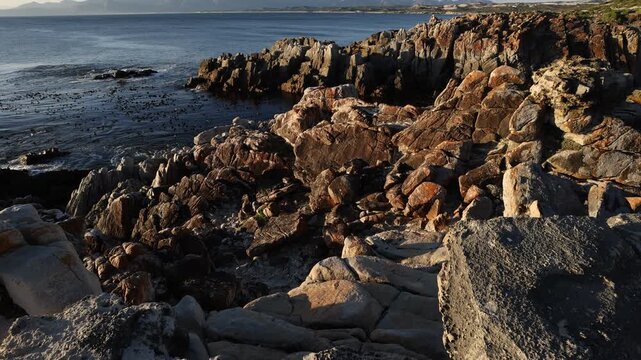 rocky coastline of DeKelders, Gansbaai, South Africa at sunset