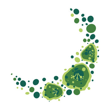Green mold frame and mildew growth pattern in damp building. Fungal spores medical vector illustration.
