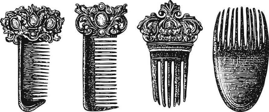 Ornate vintage combs engraving set with decorative floral and crown motifs detailed antique grooming accessories illustrations