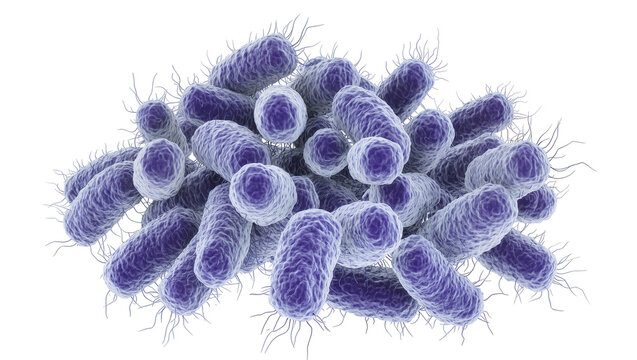 Pile of blue rod-shaped bacteria with flagella, isolated on transparent background