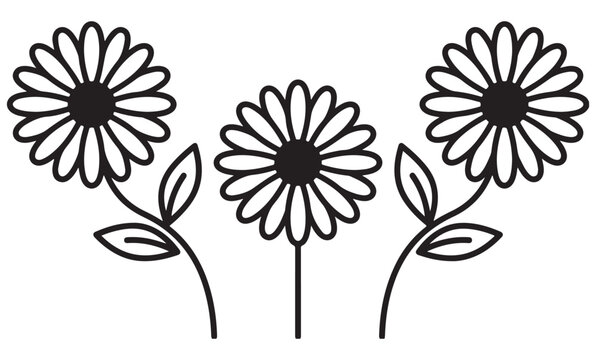 Three simple daisy flowers with stems and leaves in a flat black line art illustration style