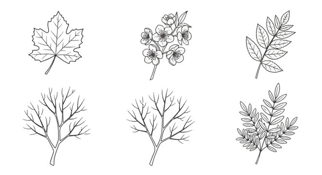 Black and white line art vector illustration featuring a diverse collection of seasonal elements including winter snowflakes, autumn leaves, spring flowers, and summer sun symbols.