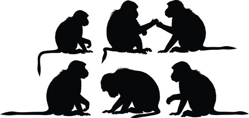 Gelada baboon primate solid black silhouette vector pack featuring various sitting monkey shapes isolated on transparent background © Olivia